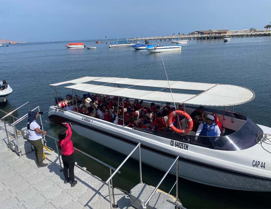 Paracas: Ballestas Islands Morning Boat Tour - Why this Paracas morning boat trip is worth your time