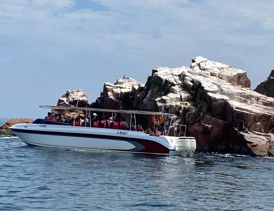 Paracas: Ballestas Islands Morning Boat Tour - Should you book this Paracas Ballestas Islands morning tour?