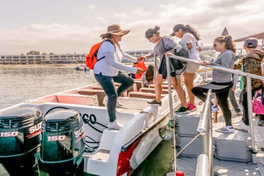 Paracas: Ballestas Islands Morning Boat Tour - What to bring and how to show up smoothly at the pier