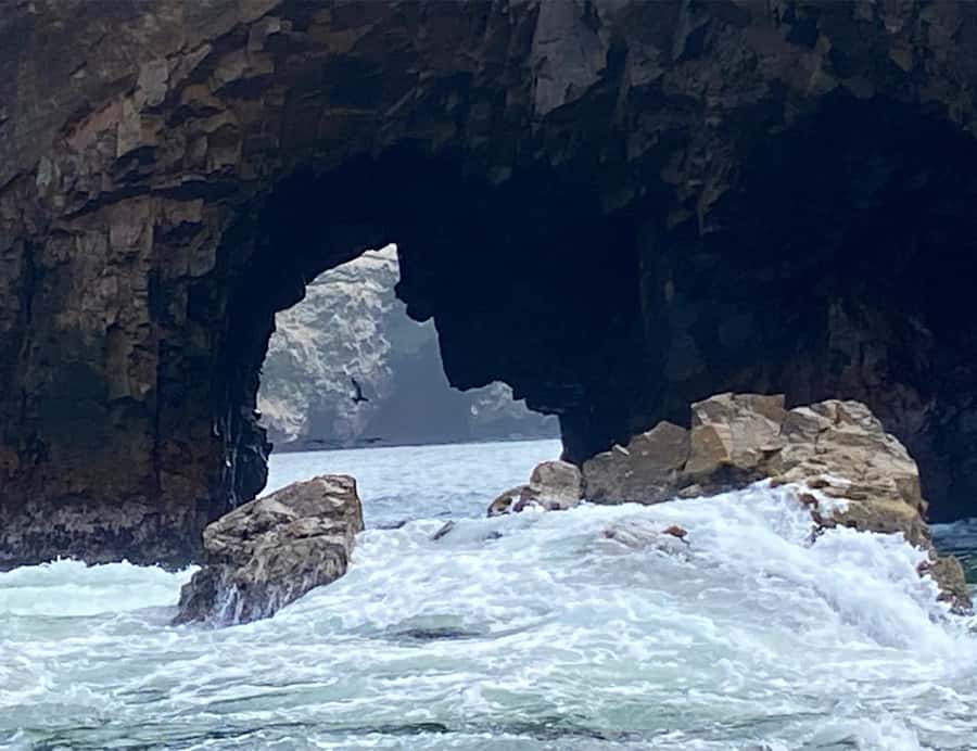 Paracas: Ballestas Islands Morning Boat Tour - Small realities, based on real outcomes, not promises
