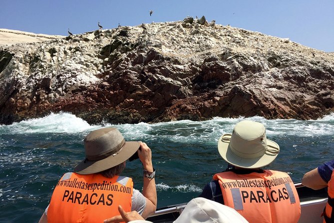 PARACAS! Ballestas Islands + Paracas National Reserve + Candelabro and much more - Key things to know before you go