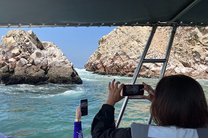 PARACAS! Ballestas Islands + Paracas National Reserve + Candelabro and much more - Price, extras, and the real budget you should plan