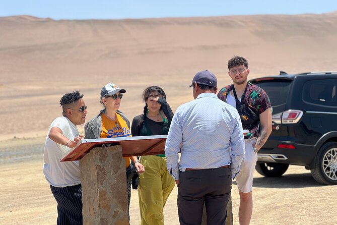 PARACAS! Ballestas Islands + Paracas National Reserve + Candelabro and much more - Crowd days and why timing can wobble