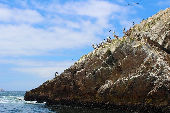 Paracas: Ballestas Islands tour all Inclusive - Boat Ride Basics: Open Boat Comfort, Vests, and Timing
