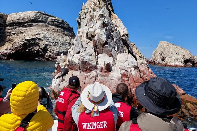 Paracas: Ballestas Islands tour all Inclusive - Stop 2: The Chandelier Scenic Pass (About 20 Minutes)