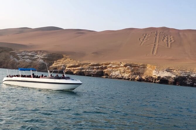 Paracas: Ballestas Islands tour all Inclusive - Meeting Up in Paracas and What Happens Before You Board