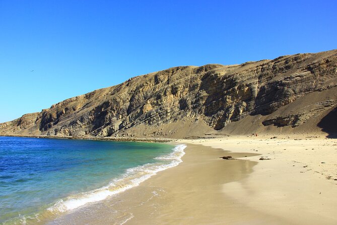 Paracas Desert Bike Adventure - Getting Your Bike Day Right: Timing, Hours, and How Long 9 Hours Really Is