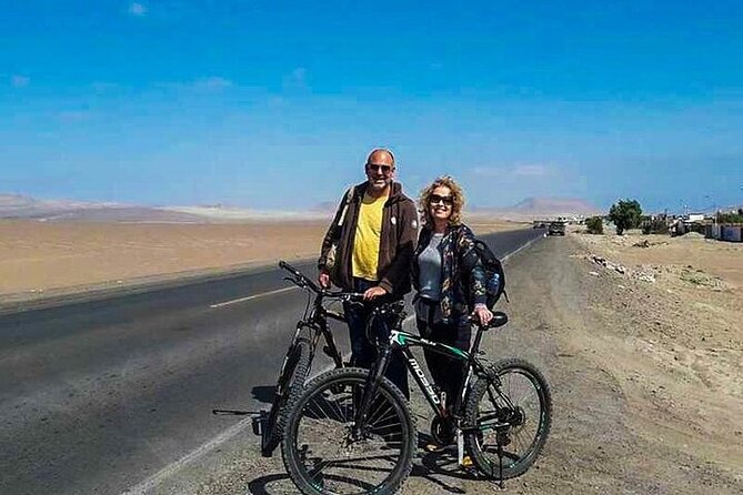 Paracas Desert Bike Adventure - Bikes, Comfort, and Safety: What You Can Expect