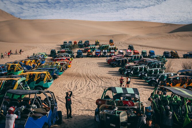 Paracas, Huacachina and Sunset Tour at the Oasis - Ica and Culturpisco: tasting in a real production stop
