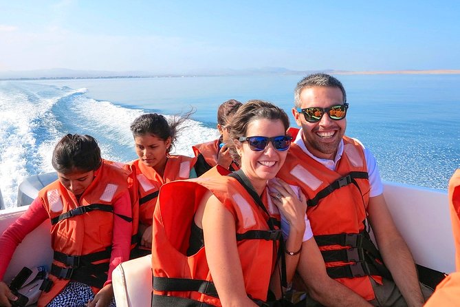 Paracas National Reserve & Ballestas Islands Tour from Lima - Stop 1: Ballestas Islands Speedboat, Wildlife Up Close