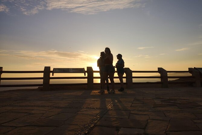 Paracas National Reserve by Tourist Bus - What makes this itinerary work better than “just going to the reserve”