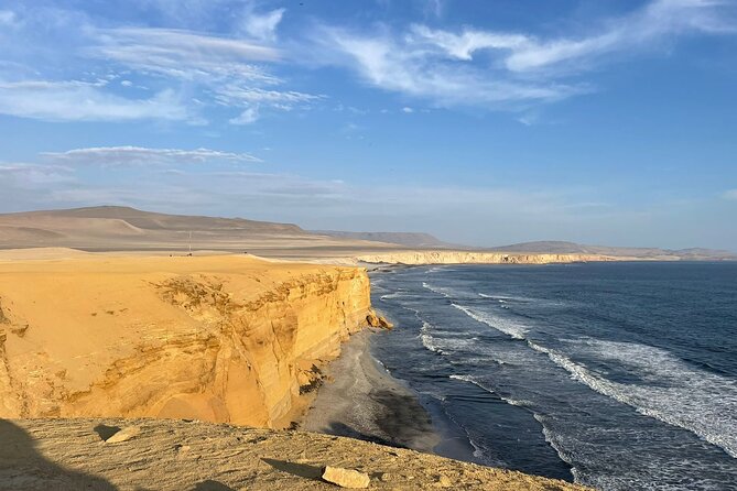 Paracas National Reserve by Tourist Bus - Should you book this Paracas National Reserve bus tour?