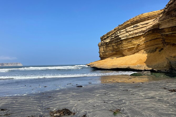Paracas National Reserve by Tourist Bus - Price and value: $21 plus one entrance fee you should plan for