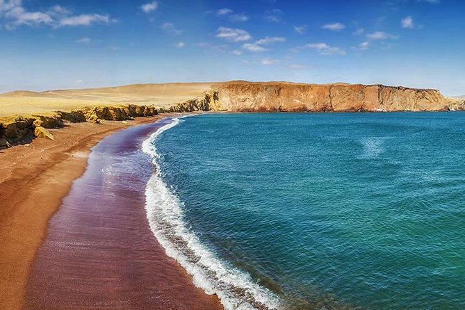 Paracas National Reserve Private Tour from Paracas or Pisco - Key things to know before you go