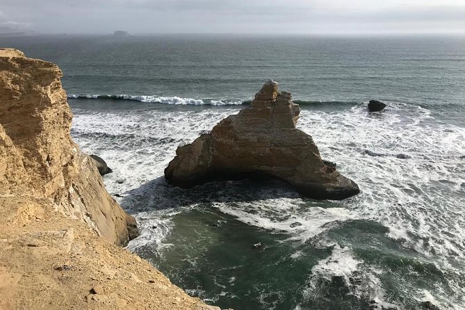 Paracas National Reserve Private Tour from Paracas or Pisco - The guide factor: why it can make or break your day