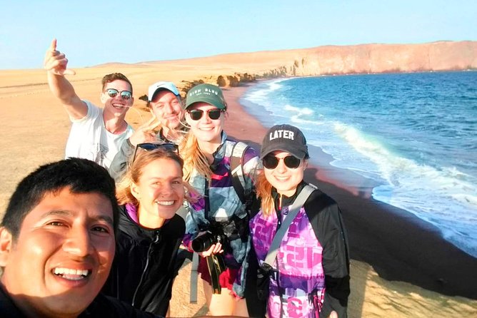 Paracas National Reserve Tour - Flamingos and Cathedral Rock: what to spot during the core viewpoint run