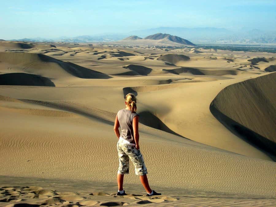 Paracas or Pisco: Private Huacachina Oasis Tour & Buggy Ride - Why Huacachina plus pisco makes a great Paracas day