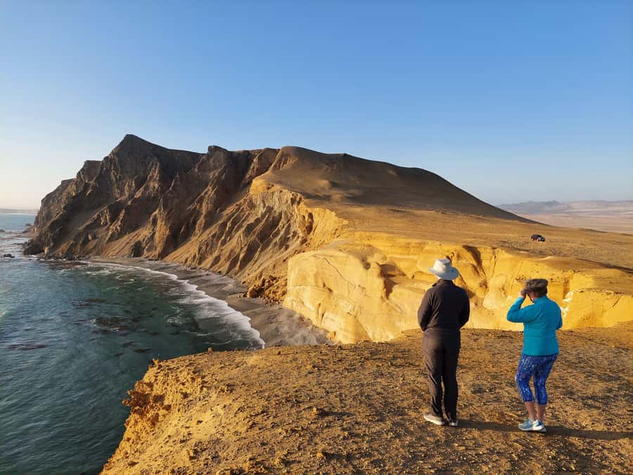 Paracas:Private Tours Paracas National Reserve all inclusive - Key Points You Should Know Before You Go