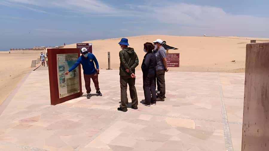 Paracas:Private Tours Paracas National Reserve all inclusive - The Timeline: How the 9:00 to 12:30 Flow Feels in Real Life