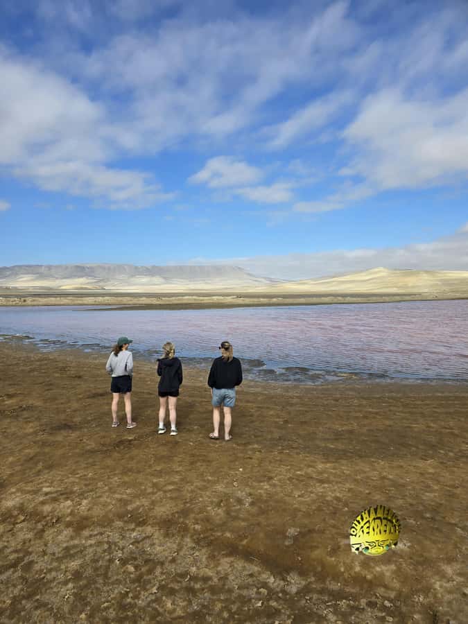 Paracas:Private Tours Paracas National Reserve all inclusive - Getting Oriented at the Visitor Center (Before the Scenic Stops)