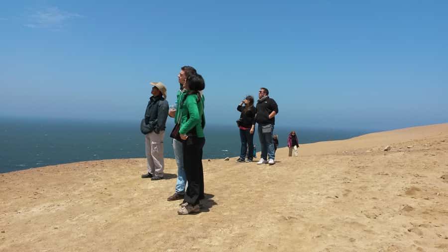Paracas:Private Tours Paracas National Reserve all inclusive - Flamingos Without the Fuss: The Short Walk Stop
