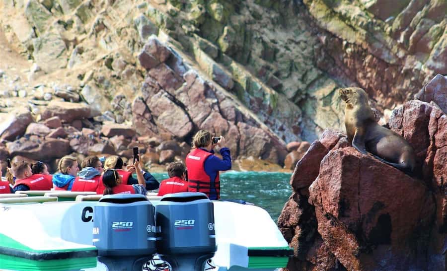 Paracas: speedboat BALLESTAS ISLANDS TOUR - Paracas Ballestas Islands in two hours, why it works