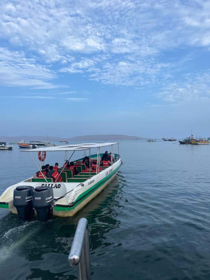 Paracas: speedboat BALLESTAS ISLANDS TOUR - El Candelabro from the water: the geoglyph stop that anchors the tour