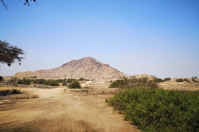 Piramids of Tucume Tour, Sican Museum and Lambayeque city tour - Getting There Comfortably: Time, Transport, and What You Should Bring