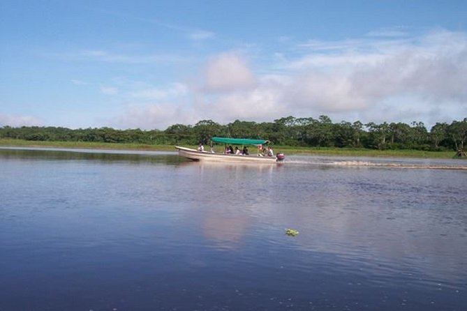 Piranha fishing experience in the Amazon jungle - English, Private Time, and How Groups Work