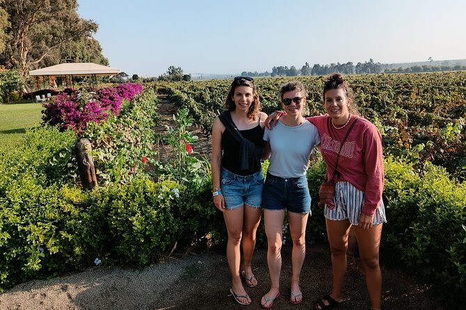 Pisco and wine route, Huacachina, Buggies, Sandboard and sunset - A Classic Ica Day, Built Around Pisco First and Dunes Second