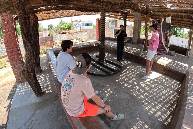 Pisco and wine route, Huacachina, Buggies, Sandboard and sunset - Who This Tour Fits Best (And Who Might Want Something Different)