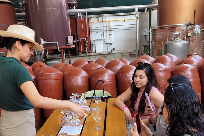 Pisco Tasting and Buggies with Sandboarding - The Extras to Budget For: Tickets and Lunch