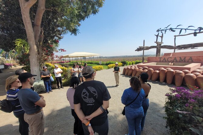 Pisco Tasting and Buggies with Sandboarding - Stop 1 at Tacama: A Guided Winery Walk and Pisco Tasting