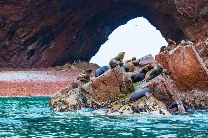 Premium Paracas & Huacachina Day Trip from Lima with Sunset Toast - Key things to know before you go