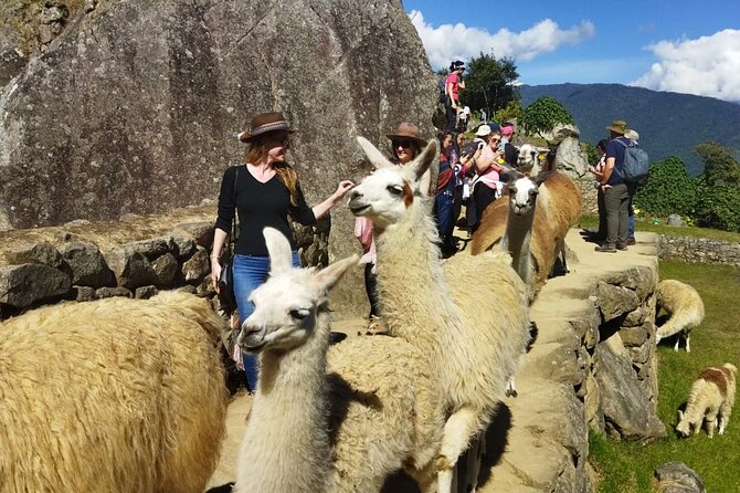 Private Day Tour to Machu Picchu - Cusco to Ollantaytambo by private transportation: fast and direct