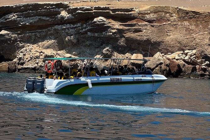 Private Full Day All Inclusive in Paracas, Huacachina and Vineyards - Huacachina dunes and sunset: buggy ride, sandboarding, and real adrenaline