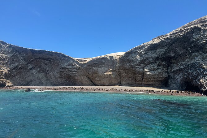 Private Full Day All Inclusive in Paracas, Huacachina and Vineyards - Price and value: is $295 per person a smart deal?