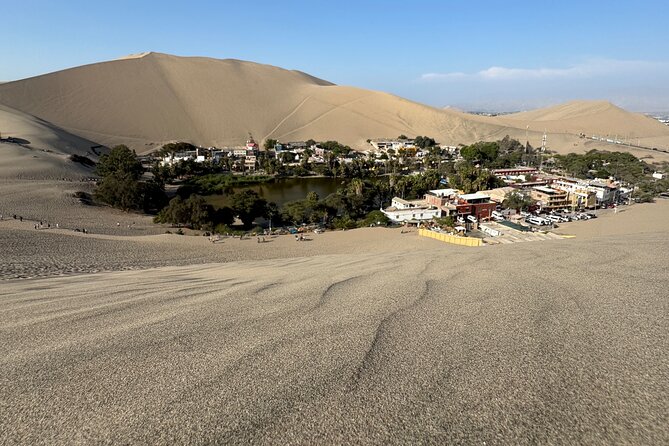 Private Full Day All Inclusive in Paracas, Huacachina and Vineyards - Islas Ballestas by modern motorboat: penguins, sea lions, dolphins, and the Candelabra