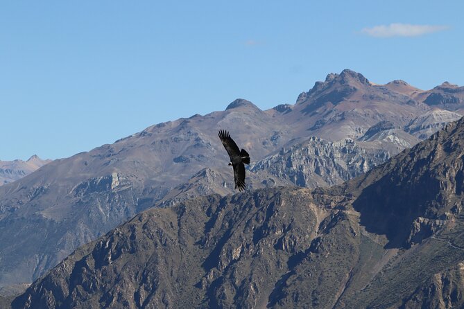 Private Full Day Tour to Colca Canyon with Breakfast - Lunch in Chivay: what it costs and what to expect