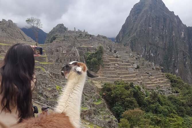Private Guide to Machu Picchu Historic Shrine - What you will actually see inside Machu Picchu