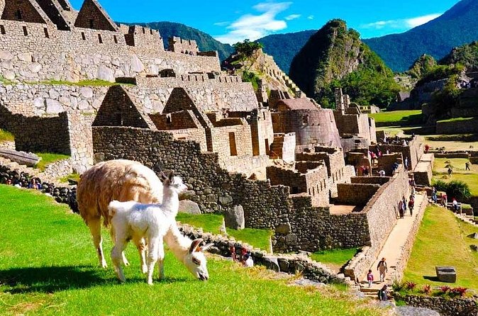 Private Guided Tour in Machu Picchu - Meeting point in Aguas Calientes: start from Machupicchu Boutique