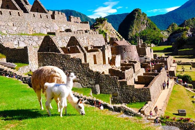 Private Guided Tour in Machu Picchu - Who should book this private guide, and who should skip it