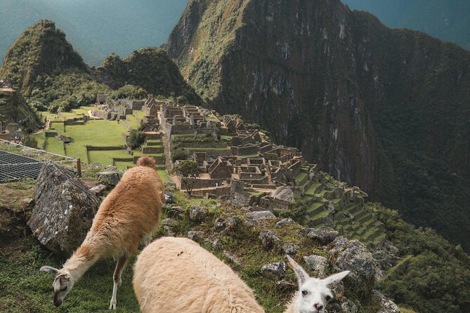 Private Machu Picchu Guided Tour from Aguas Calientes - The private format that helps you actually enjoy Machu Picchu