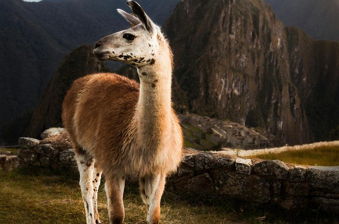 Private Machu Picchu Guided Tour from Aguas Calientes - Stop 1 inside Machu Picchu: a guided 2.5-hour walkthrough of the icons