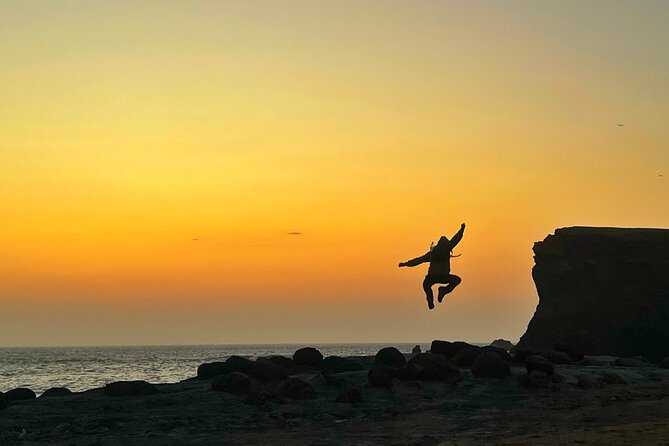 Private Paracas National Reserve + Pink Lagoon Experience - Key highlights at a glance