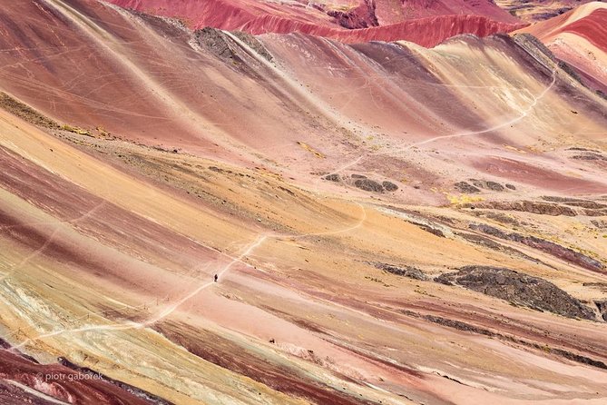 Private Rainbow Mountain Tour From Cusco - Vinicunca Rainbow Mountain - Guides and altitude care, from Rafael to Carlos and Freddy Krueger