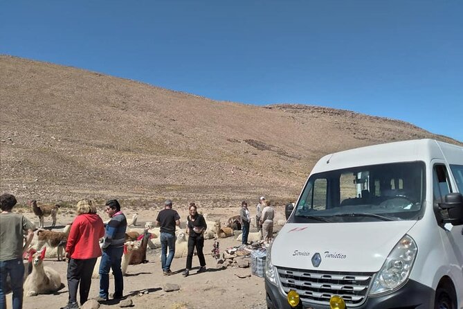 Private Round Trip Transfer to Colca Canyon from Arequipa - Vicuñas Viewpoint: Where Your Eyes Do the Work