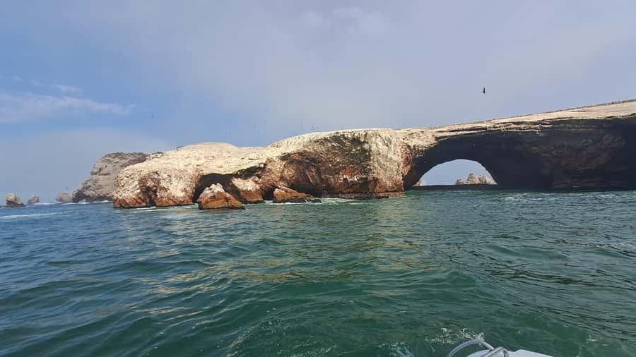 Private Tour: Ballestas Island & Huacachina Oasis, from Lima - Buggy and Sandboarding: The Adrenaline Part You Will Actually Feel