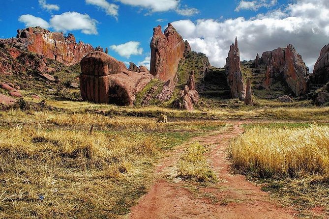 Private Tour from Puno to Tiwanaku - The 6:30 am start, pickup near Plaza de Armas, and border timing