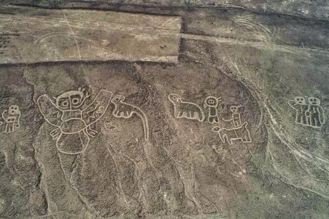 Private Tour Miradores Palpa Nazca with Nazca Lines Overflight - Casa-Museo Mari Reiche: Why This Desert Captivated One Person for a Lifetime